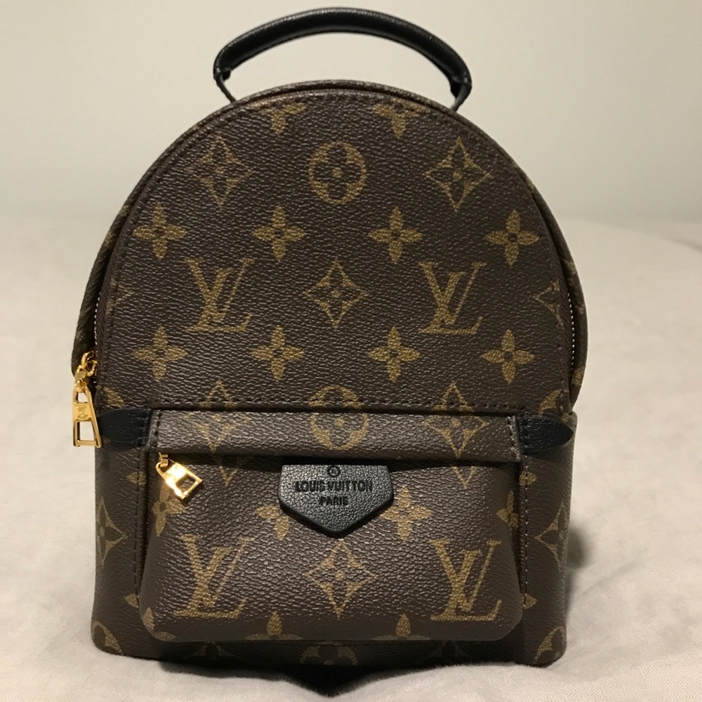 Louis Vuitton Palm Springs Backpack Mini